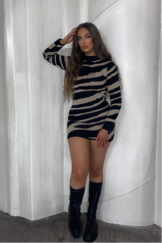 Chloe Zebra Print Jumper Dress
