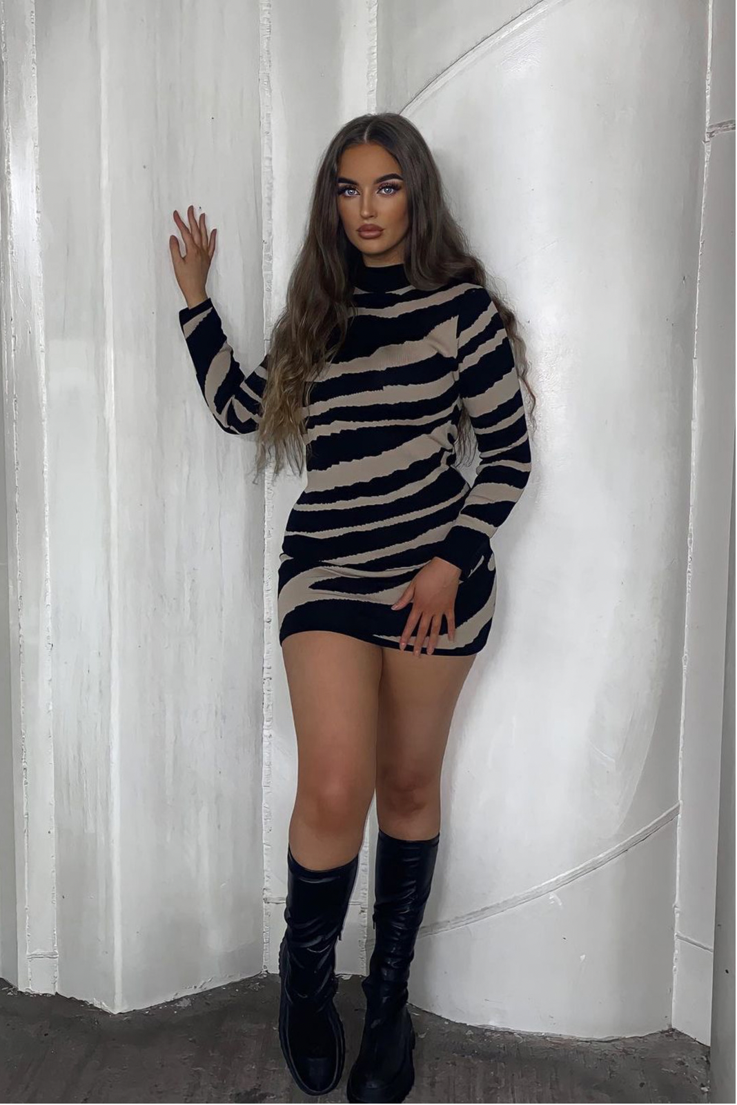 Chloe Zebra Print Jumper Dress