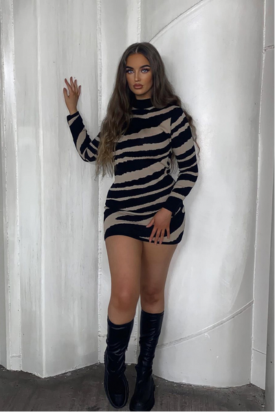 Chloe Zebra Print Jumper Dress