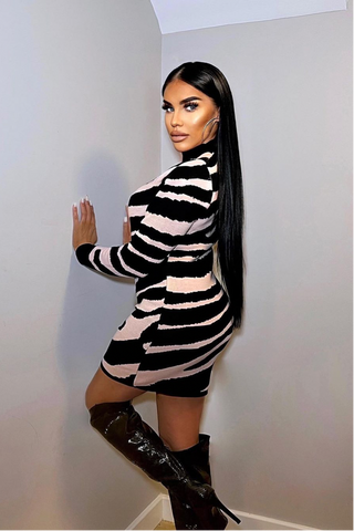Rayne Zebra Print Jumper Dress