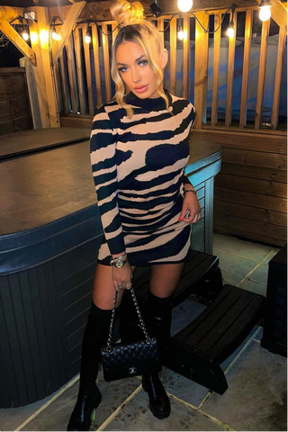 Chloe Zebra Print Jumper Dress