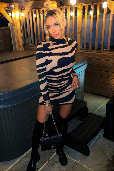 Chloe Zebra Print Jumper Dress